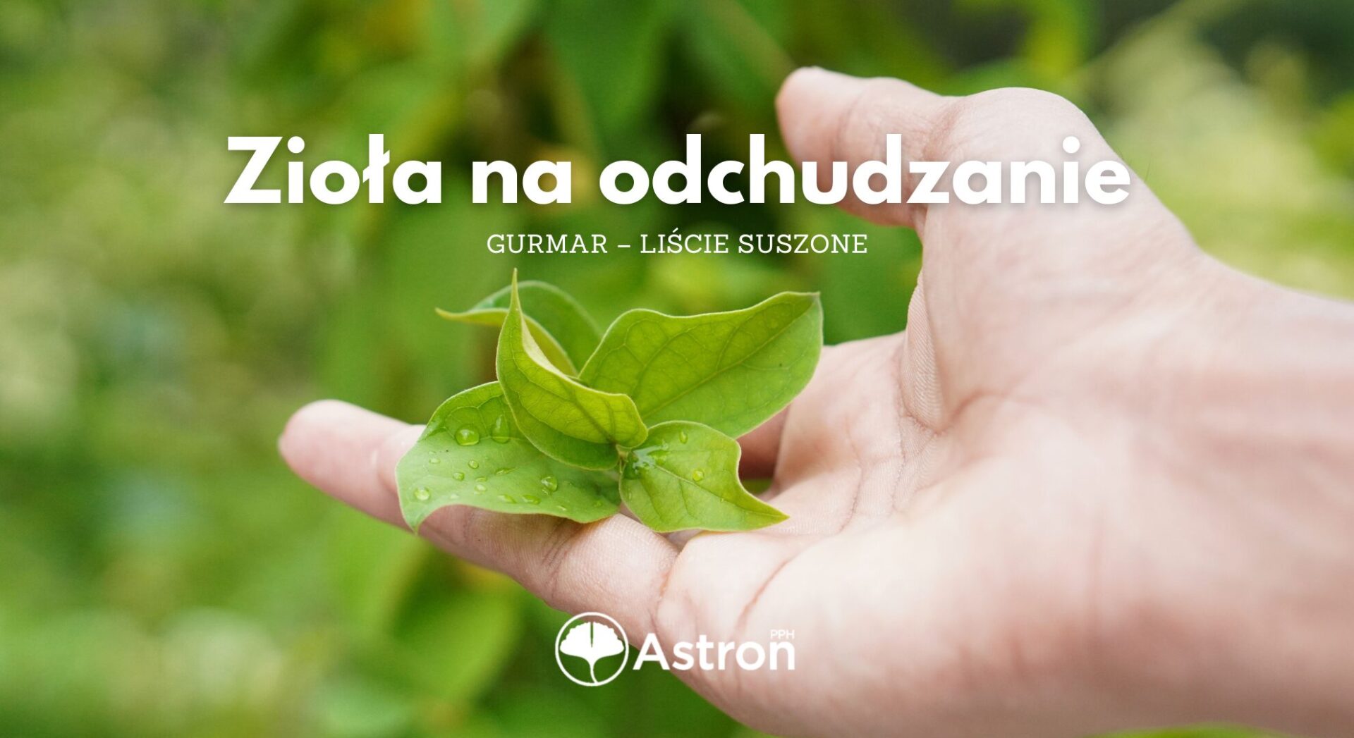 Zioła na Odchudzanie