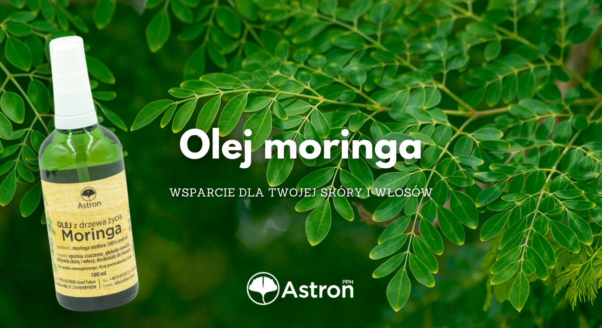 olej moringa na włosy