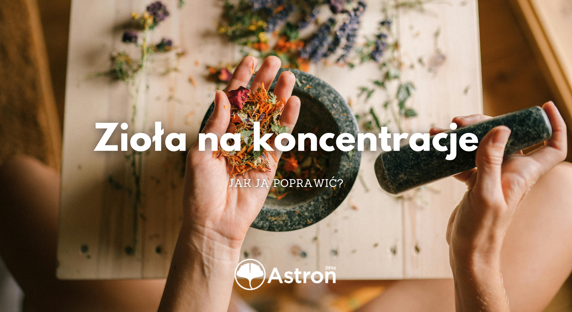 zioła na koncentracje