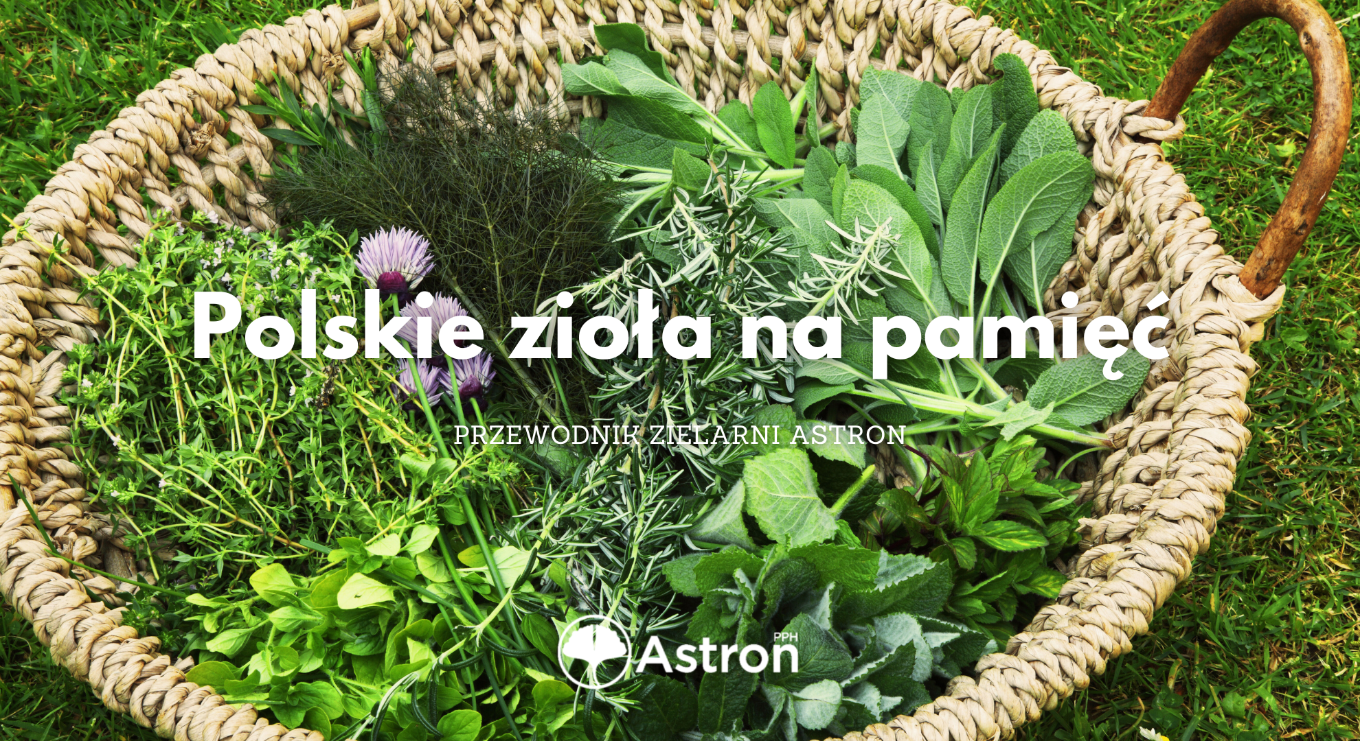 Polskie zioła na pamięć