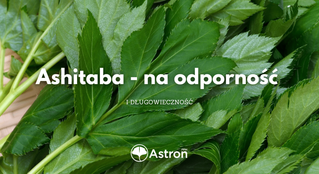 zioło na odporność