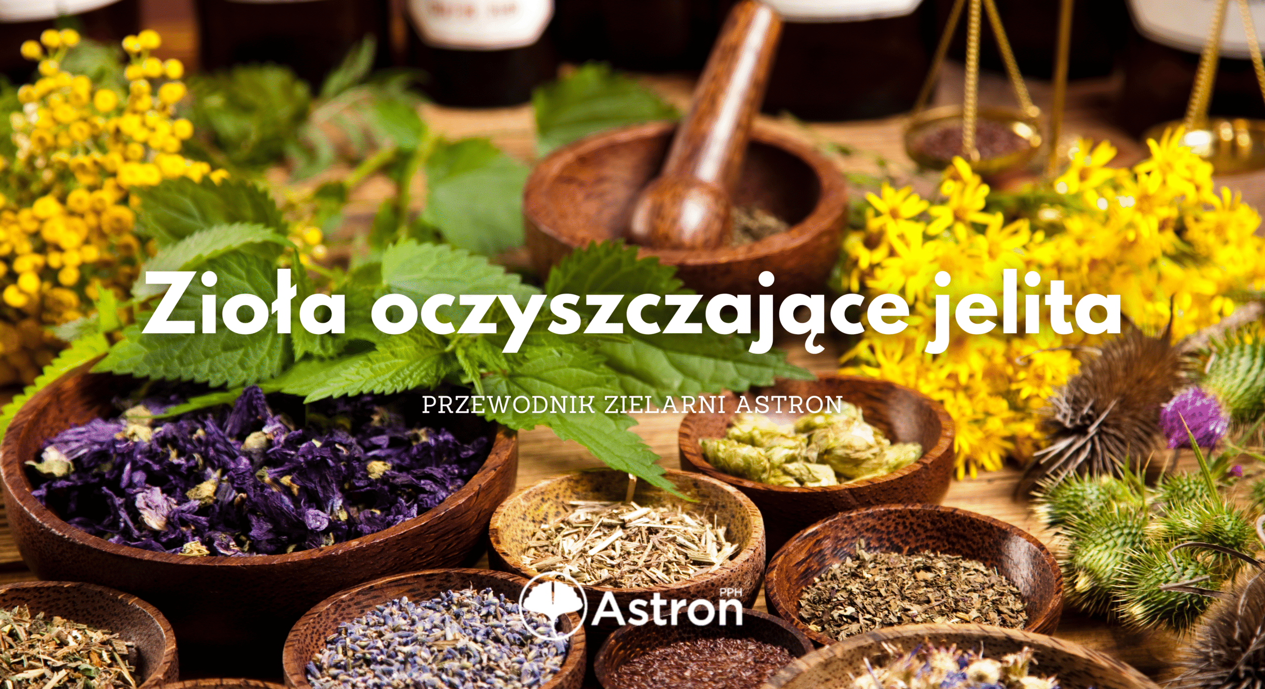 zioła oczyszczające jelita