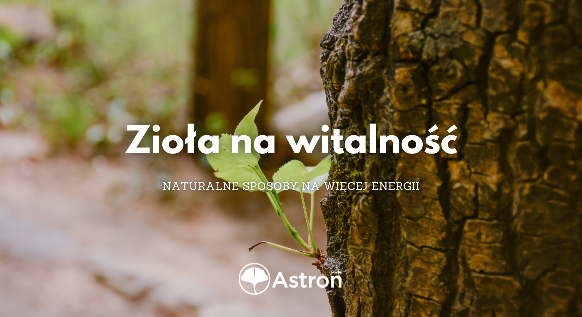 sposoby na więcej energii