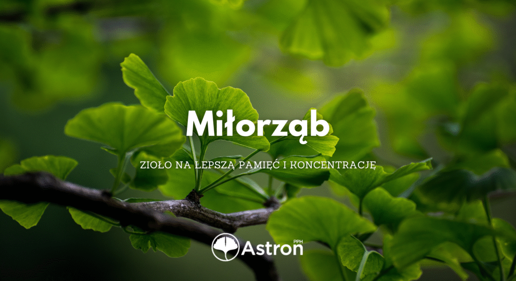 Na lepszą pamięć